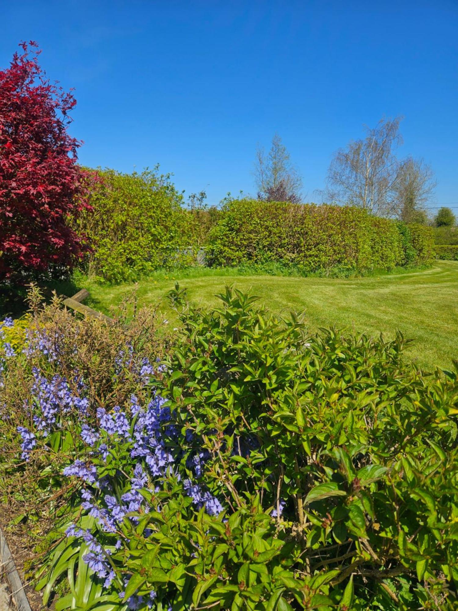 Ard Aoibhinn Roscommon Lecarrow Ngoại thất bức ảnh
